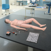 Maniquí de PVC Multifuncional para Entrenamiento Escolar, Modelo Anatómico para Cuidado del Paciente y Enfermería