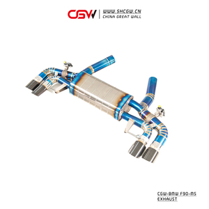 Wild Growling suara Titanium matang, katup elektronik Catback pipa knalpot untuk BMW M5 F90 4.4T knalpot AWD - Product Image 3