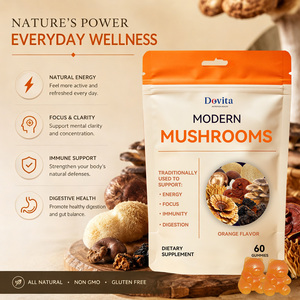 Gomitas Nootrópicas con 10 en 1 Hechas en EE. UU. (OEM), con Melena de León, Ashwagandha, L-Teanina, para la Memoria y el Cerebro, Veganas, de Espectro Completo, para Adultos - Product Image 3