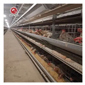 Silver Star peut personnaliser la cage d'éleveur de cage de poulet à œufs multicouche automatique