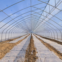 Serre tropicale à arche simple avec ventilation supérieure à dents de scie et support de treillis pour piments