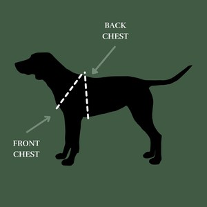 黒の本物の革の犬のハーネスペット用品犬のためのハーネスレザー高級革快適な犬の胸のハーネス - Product Image 6
