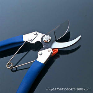 กรรไกรตัดแต่งกิ่งกระบองเพชร 1256 ใบมีดเหล็กคาร์บอน 60 มม. สำหรับกิ่งผลไม้และดอกไม้ ผลิตในญี่ปุ่น - Product Image 5