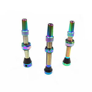 Tige <span class=keywords><strong>de</strong></span> valve sans chambre à air 40mm 44mm 60mm avec capuchon d'outil <span class=keywords><strong>de</strong></span> retrait <span class=keywords><strong>de</strong></span> noyau <span class=keywords><strong>de</strong></span> valve Presta intégré pour jante <span class=keywords><strong>de</strong></span> pneu <span class=keywords><strong>de</strong></span> vélo <span class=keywords><strong>de</strong></span> route vtt - Product Image 1