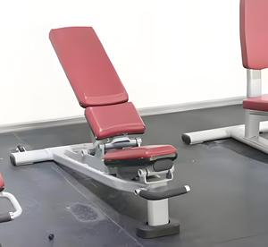 <span class=keywords><strong>2025</strong></span> thiết kế mới quả tạ bụng băng ghế dự bị tập thể dục phòng tập thể dục thiết bị băng ghế dự bị dọc thương mại tập thể dục băng ghế dự bị - Product Image 5