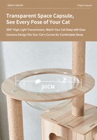 Arbre à chat multi-niveaux en gros d'usine, résistant aux griffures, avec griffoir en sisal et maisonnette pour chat, mobilier pour chat