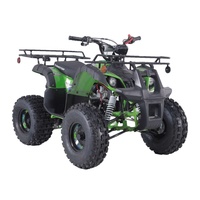Quad Tout-Terrain 110cc Automatique Tao Motor pour Enfants, VTT avec Démarrage Électrique 4 Roues Motrices 2x2 à Transmission par Chaîne