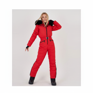 Vêtements de rue Combinaisons de ski par temps de pluie et de neige 3000M Survêtement softshell léger et imperméable pour les femmes Conception de panneau - Product Image 1