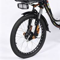 Vélo électrique OEM & ODM 500W, vitesse maximale 45 km/h, avec panier de rangement avant, siège passager et dossier