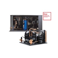 Unité de condensation basse température 1HP, chambre froide, mini compresseur Copeland, réfrigérateur commercial, congélateur à marche continue, 60Hz, Invotech 1~5HP LBP