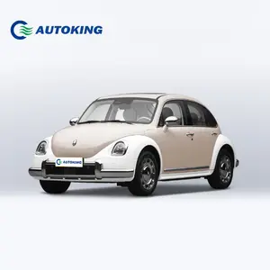 Changcheng Mini Baby Electric Car Ora Ballet Cat 4 Wheel Electr Vehicle Oula Haomao Used Car