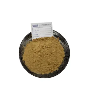 High Purity Artichoke Leaf Extract Powder 2.5% Cynarin Powder Artichoke Extract Powder