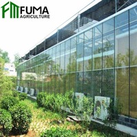 Serre Commerciale Multi-Span en Verre pour l'Agriculture – Kit Complet en Promotion