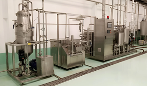 Usine de production de poudre de noix de coco avancée avec des procédés intégrés de découpe, séchage, broyage et emballage pour une production de qualité constante - Product Image 2