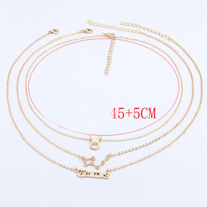 Vente chaude Signe Du Zodiaque Horoscope Collier Alliage Zircon Bijoux Zodiaque Collier Pour Les Femmes - Product Image 3