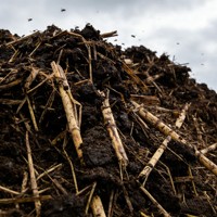 Poudre décomposeur de biomasse Trichoderma riche en fibres pour le traitement des résidus de paille, de bois et des balles de coton – Dégénération de la lignine et de la cellulose