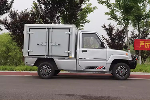 定制4KW电机的远程EEC <span class=keywords><strong>2</strong></span>座迷你成人电动舱车 - Product Image 4