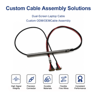 Cable coaxial micro LVDS personalizado de 30 pines y paso de 0,5 mm para pantalla dual de portátil con soporte OEM, ODM y EMS
