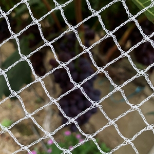 100% HDPE dệt kim chim rào cản lưới trắng HDPE dệt chim lưới, Vườn Chim bảo vệ Net cho cây ăn quả VƯỜN NHO - Product Image 5