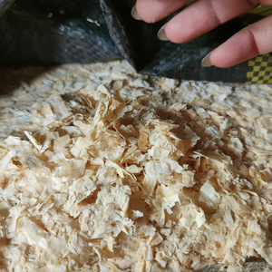 WOOUP Cama para Mascotas Pequeñas Hecha de Virutas de Madera de Pino Seca de 3mm-6mm, Excelente para Mascotas - Product Image 1