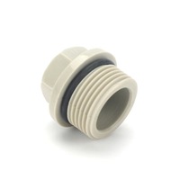 Bouchon fileté PPR, bouchon aveugle, bouchon de test de pression, bouchon fileté gris, bouchon fileté intérieur et extérieur, bouchon en plastique