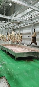 Equipo Moderno para Sacrificio de Cabras, Procesamiento de Ovejas y Corderos, Preparación de Carne - Product Image 3