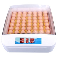 Incubateur automatique pour œufs de caille 55 avec certificat CE, couveuse, appareil commercial, certification CE