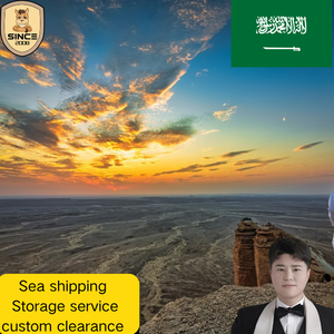 Spedizione DDP dalla Cina all'Arabia Saudita <span class=keywords><strong>e</strong></span> Turchia via Mare, Agente di Spedizione Marittima <span class=keywords><strong>e</strong></span> Aerea Veloce ed Economica, Servizio Porta a Porta DHL UPS dalla Cina al <span class=keywords><strong>Marocco</strong></span> <span class=keywords><strong>e</strong></span> Sudafrica - Product Image 6