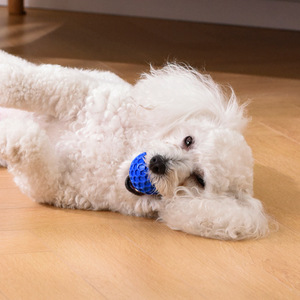 Jouet pour chien Aisenka Honeycomb Squeak Ball, durable, pour le nettoyage des dents, jouet auto-entretenant pour animaux de compagnie - Product Image 1