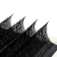 Vente en gros 3D 4D 5D W cils en forme de trèfle synthétique doux préfabriqués ventilateur Volume Extension de cils C D curl 8-12mm