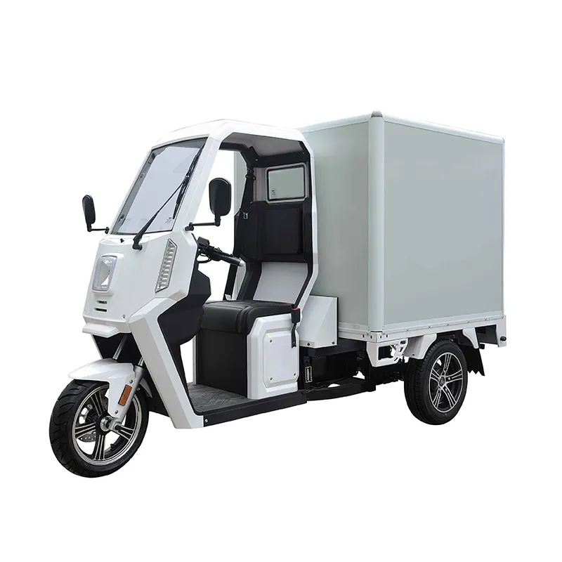 Novo Design Fornecedor Destacável Categoria Fechado Triciclo Elétrico Trikes Carga Para Entrega 3 Rodas Elétrica