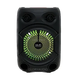 Portable 6.5 Inch RGB LED Radio Bass Speaker Karaoke Wireless 5W DC Battery Plastic Woofer Mic Theater Use