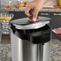 Bouilloire Électrique Encastrable Ovale Personnalisable 3-6L à Ébullition Rapide 850W pour Îlot de Cuisine Moderne