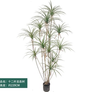 Arbre artificiel de haute qualité, style Dragon Tree, avec pot en fer, type bonsaï, pour salon, en bois Millenium, grand ornement décoratif pour extérieur et <span class=keywords><strong>centre</strong></span> <span class=keywords><strong>commercial</strong></span> - Product Image 5