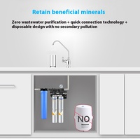 Filtre à eau du robinet commercial Bantel Everpure, double purificateur d'eau 7FC-S, machine à eau potable directe avec charbon actif