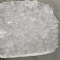 Máquina de Hielo en Cubitos de 300 kg con PLC y Compresor para Bares Comerciales y Tiendas de Dulces