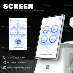 4 đầu dò nhà máy picosecond Pico Máy Laser sắc tố loại bỏ hình xăm Nd Yag hoạt động <span class=keywords><strong>Q</strong></span> chuyển đổi - Product Image 6
