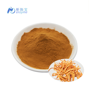 Novenzyme Estratto di Fungo <span class=keywords><strong>Cordyceps</strong></span> Militaris Biologico in Polvere all'Ingrosso - Product Image 1