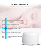 Mini diffuseur d'arôme Timable Usage domestique Ultransmit Diffuseur d'arôme d'intérieur avec lumière