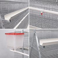 Cages de batterie galvanisées de type A pour poules pondeuses d'élevage avicole, pour la ponte et l'élevage de poulets, en vente