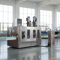 Ligne de production de mise en bouteille de spiritueux entièrement automatique, machine de remplissage et de bouchage de bouteilles en verre Triblock