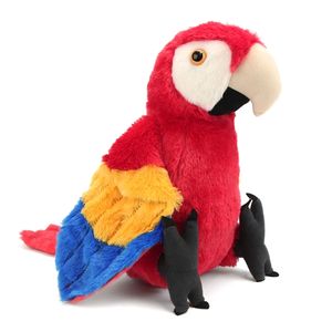 De peluche de felpa juguetes de aves loro de peluche loro Juguetes - Product Image 2