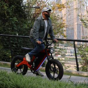 Vintage Long Range Bike 750w Brushless Motor 7-speed City Magnesium Frame Lithium Battery M1 with Lights Rear - Product Image 1