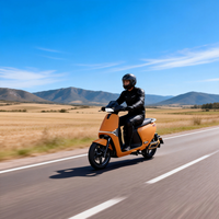 EEC 72V30A Lithium Battery Electric Motorcycle Max Speed 45km/H Electric Motorbike with Pedal/USB