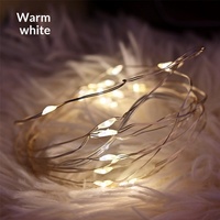 Guirlandes lumineuses LED avec fil argenté, boîte à piles bouton, bouquet cadeau, décoration de Noël pour la pâtisserie