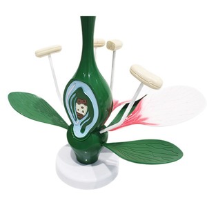 Matériel d'expérimentation biologique pour collégiens : Modèle Fleur de Pêcher, Instruments pédagogiques pour l'expérimentation sur la fleur de pêcher - Product Image 5