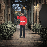 Costume de soldat britannique pour homme adulte, garde d'honneur royale, costume de fête d'Halloween, ensemble de vêtements, autre MDEC-008