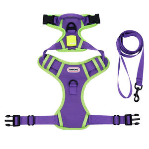 Arnés de Gato Personalizado que Brilla en la Oscuridad, Chaleco Ajustable en Forma de H con Correa para Perros Pequeños y Gatitos, Suministros para Mascotas con Etiqueta Privada OEM - Product Image 4