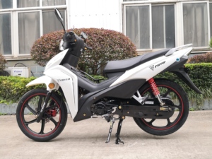 รถมอเตอร์ไซค์คลาสสิคเวฟคับ Fast Rider รุ่นฮอตเซลล์ 110cc 125cc แบบอันเดอร์โบน คาร์บูเรเตอร์ ความเร็วเกิน 80 กม./ชม. สำหรับผู้ใหญ่ ส่งตรงจากโรงงาน - Product Image 3