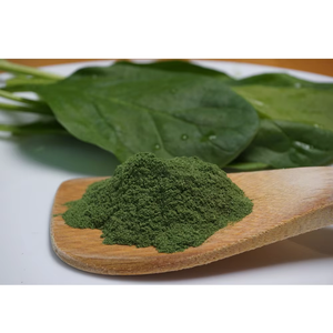 Poudre d'épinards de haute qualité, poudre de feuilles de Spinacia Oleracea, poudre végétale naturelle, matière première alimentaire, vente en gros en vrac - Product Image 3